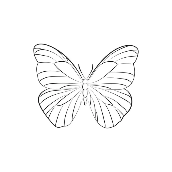 Elegant Outline Golden Butterfly White Background — 스톡 벡터