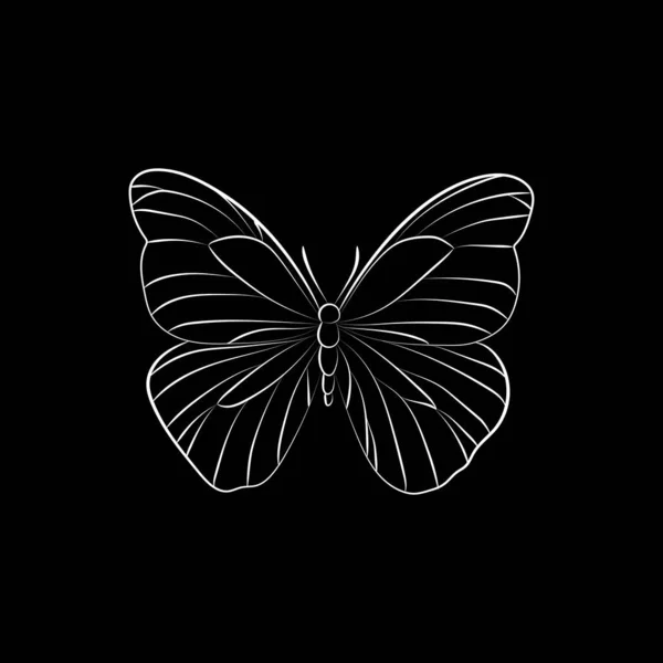 Elegant Outline Butterfly Black Background — Stock Vector