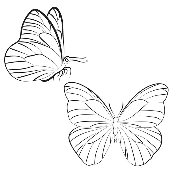 Elegant Outline Butterfly White Background — 스톡 벡터