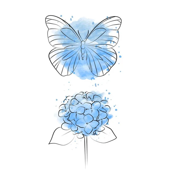 Blooming flower hydrangea with butterfly on white background.