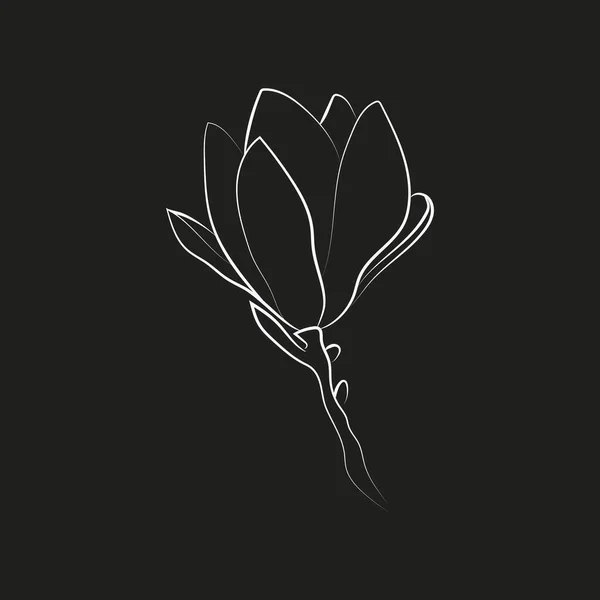 マグノリアの花のエレガントなアウトラインのスケッチ ベクトルイラスト — ストックベクタ