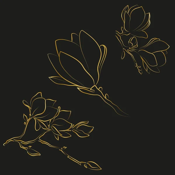 Elegante Abbozzo Fiori Magnolia Illustrazione Vettoriale — Vettoriale Stock