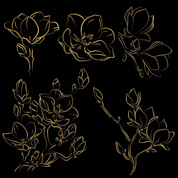 Elegante Schets Van Magnolia Bloemen Vector Illustratie — Stockvector