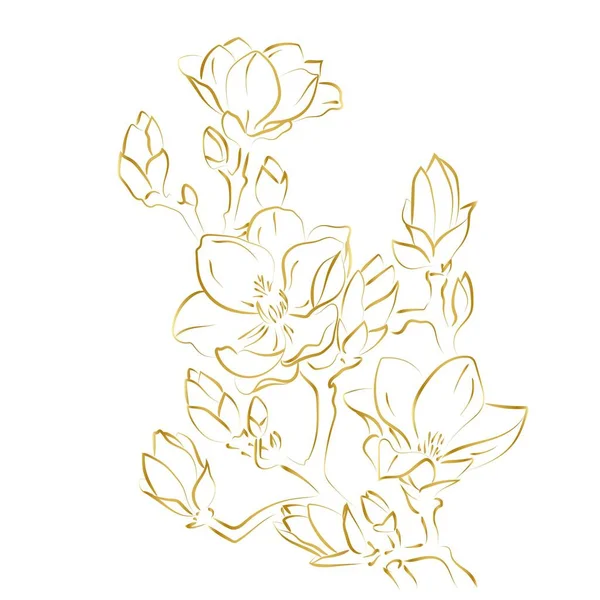 Elegant Outline Sketching Magnolia Flowers Vector Illustration — Stock Vector
