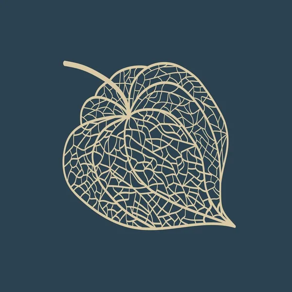 Tangan Digambar Dari Outline Physalis Buah Ilustrasi Vektor - Stok Vektor