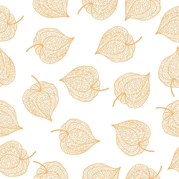 Dessin Main Contour Des Fruits Physalis Illustration Vectorielle — Image vectorielle