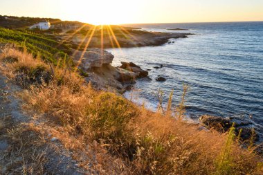 Beautiful seaside, Island, Cyprus