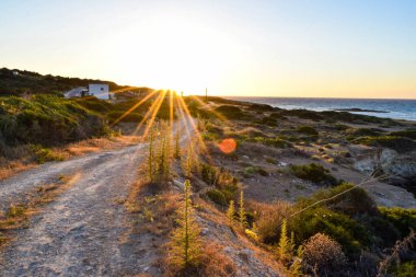 Beautiful seaside, Island, Cyprus