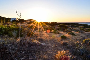 Beautiful seaside, Island, Cyprus
