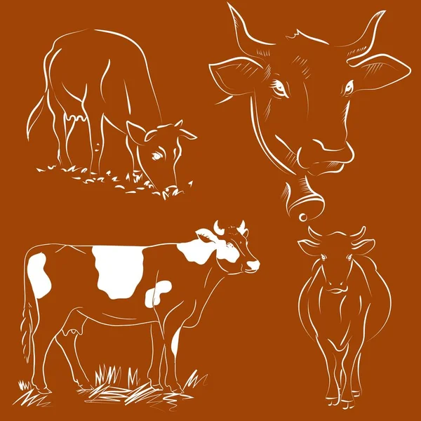 Esquema Dibujo Mano Toro Ilustración Vectorial — Archivo Imágenes Vectoriales