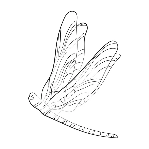 Elegant Outline Drawing Dragonfly Vector Illustration — Vector de stock