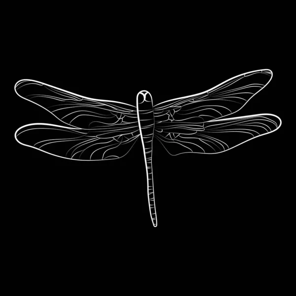 Elegant Outline Drawing Dragonfly Vector Illustration — Vector de stock