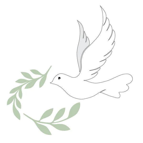 Elegant Line Dove Bird Vector Illustration Art — Stock Vector