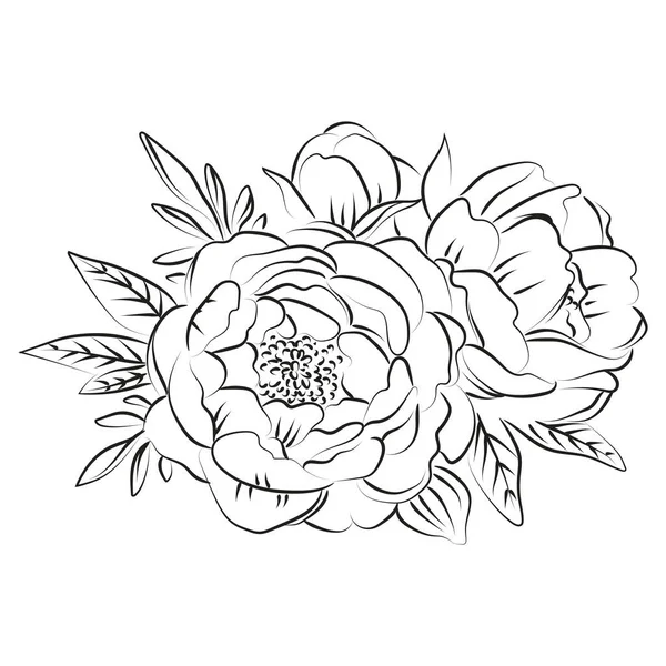牡丹の花のエレガントなアウトラインスケッチ ベクトルイラスト — ストックベクタ