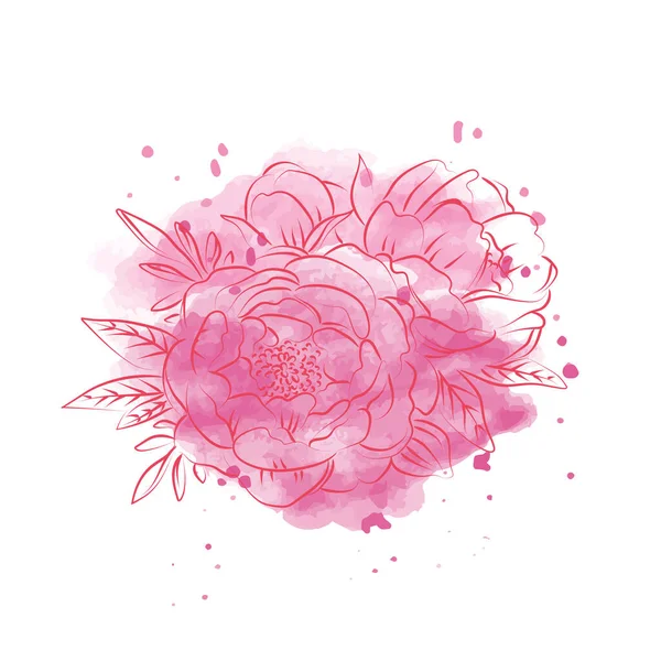 Esquisse Élégante Contour Des Fleurs Pivoine Illustration Vectorielle — Image vectorielle