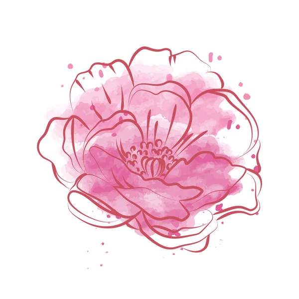 Elegant Outline Sketching Peony Flowers Vector Illustration — Stock Vector