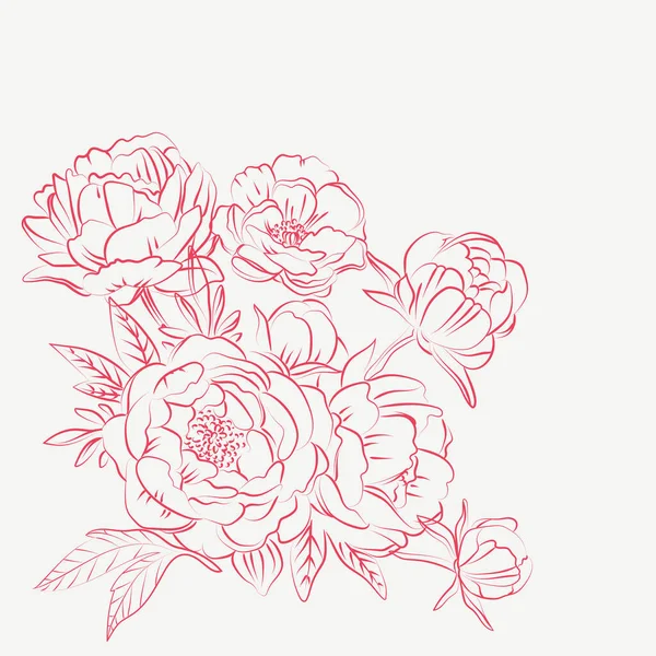 Elegant Kontur Skiss Pion Blommor Vektor Illustration — Stock vektor