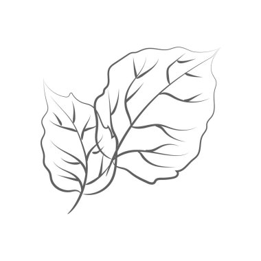 Gül yaprağının zarif dış çizimi, vektör illüstrasyonu.