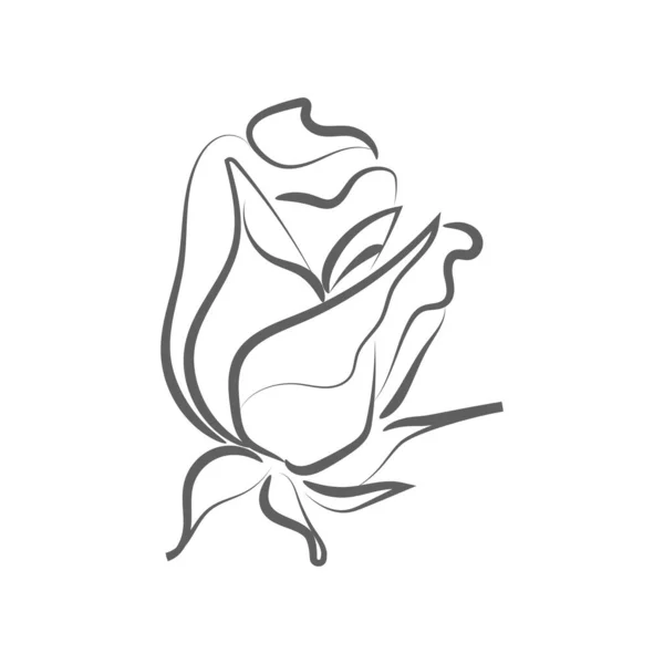 Elégant Dessin Contour Fleur Rose Illustration Vectorielle — Image vectorielle