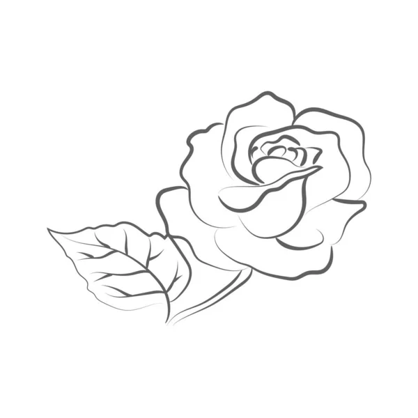 Elégant Dessin Contour Fleur Rose Illustration Vectorielle — Image vectorielle