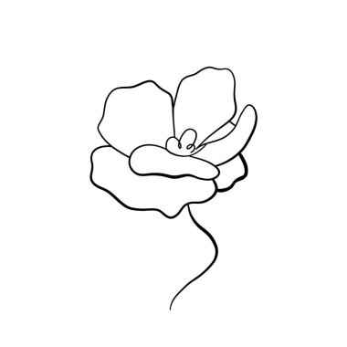 Bir çiçeğin sürekli çizimi