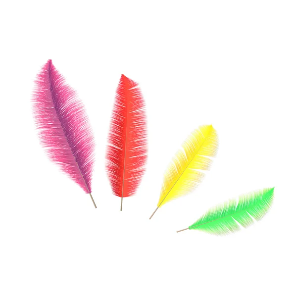 Madár színes tollak — Stock Fotó