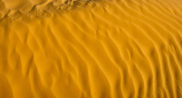 Sables du Sahara. Contexte et texture — Photo