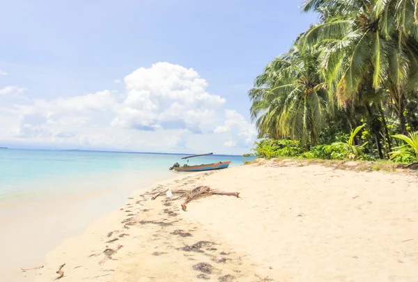 Zapatilla île de Bocas del Toro — Photo