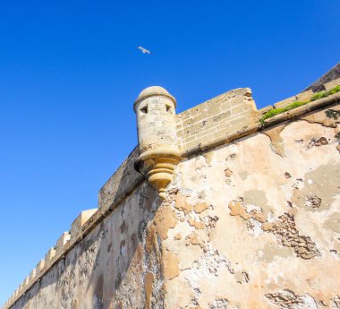 Essaouira duvar Kulesi ve martı