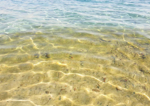 Kızıl Deniz ve balık — Stok fotoğraf