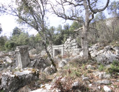 Termessos Şehir Harabeleri