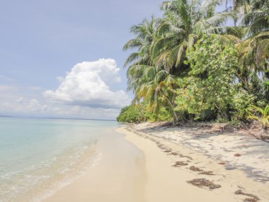 Zapatilla Island, Panama