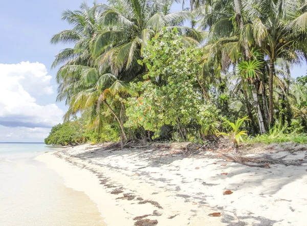 L'île de Zapatilla. Bocas del Toro — Photo