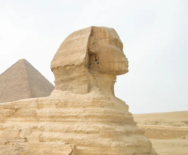 Sphinx von Ägypten — Stockfoto