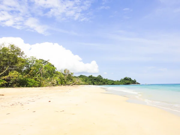 Île aux grenouilles rouges. Panama — Photo