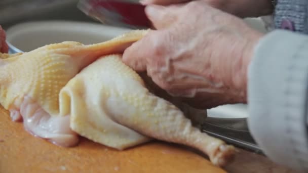 Close up de limpeza de carne de chiken — Vídeo de Stock