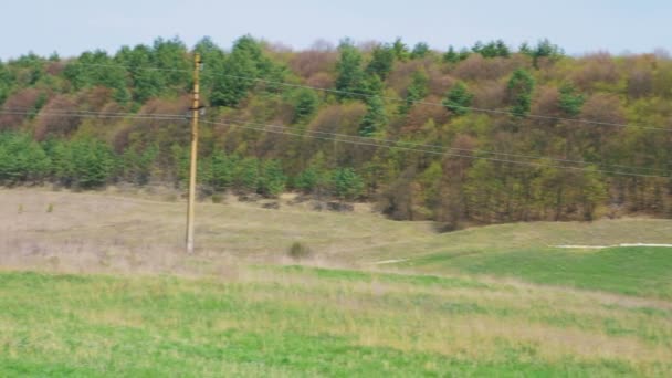 Panorama paesaggistico. Vista della Foresta — Video Stock