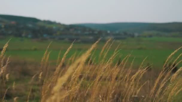 Panorama del paisaje. Vista del pueblo — Vídeos de Stock