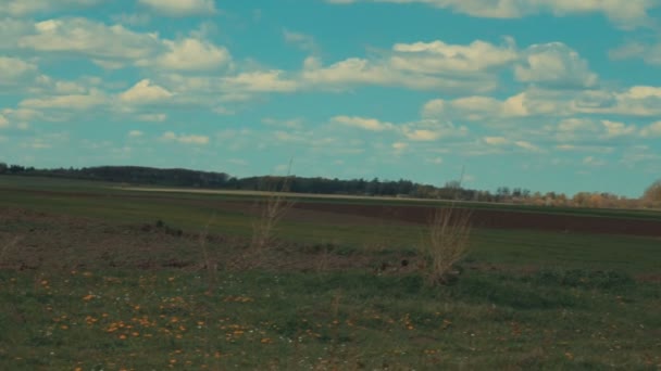 Landschaftspanorama. Blick auf das Dorf — Stockvideo