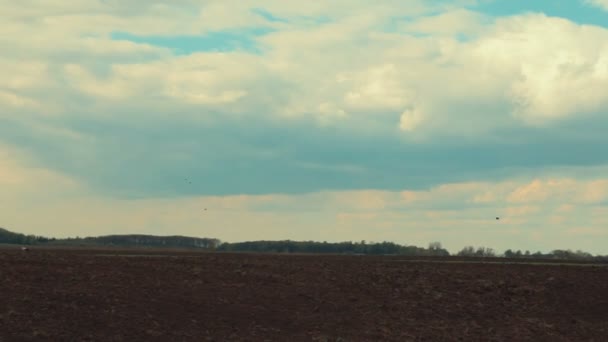Трактор вспахивает в сумерках — стоковое видео