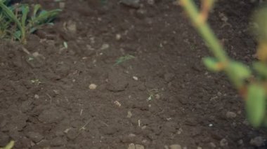 Bir komisyon ile yere iş