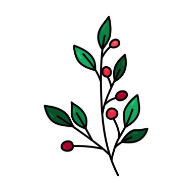 El Çizimi Holly Berry Karikatür Şubesi Beyaz Arkaplan 'da izole edildi. Noel Botanik Çiçek Simgesi. Vektör illüstrasyonu