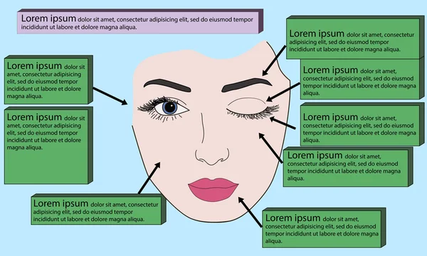 Schablone Gesicht für Make-up. Vektorillustration — Stockvektor