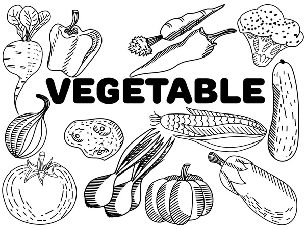 Vecteur de coloration végétale pour adultes — Image vectorielle