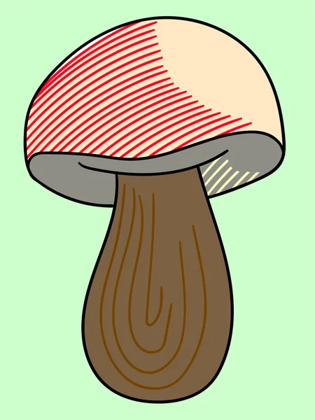 Mushroom vector illustration — Stock Vector