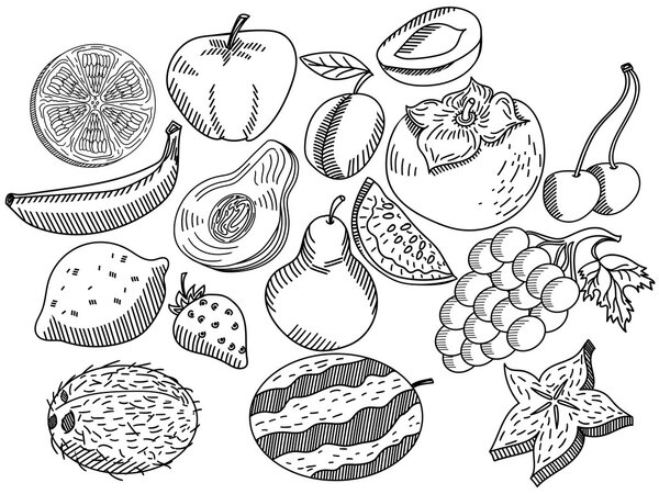 Fruits coloring book vector for adults