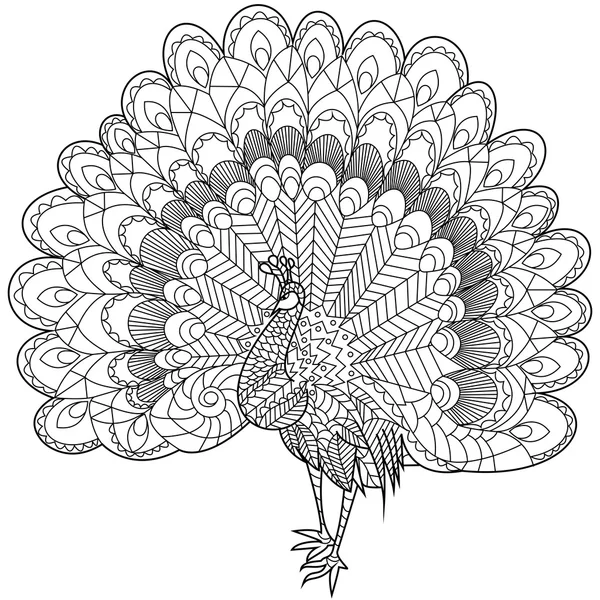 Peacock zbarvení vektor pro dospělé — Stockový vektor