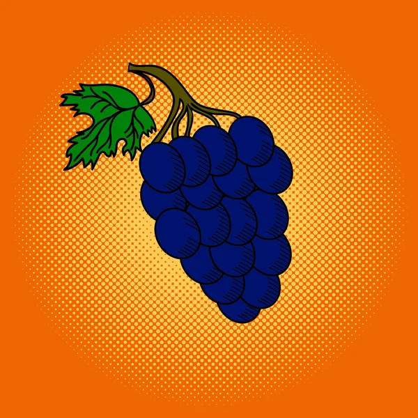 Druiven popart vectorillustratie — Stockvector