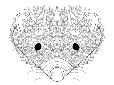 Hedgehog head coloring vector for adults