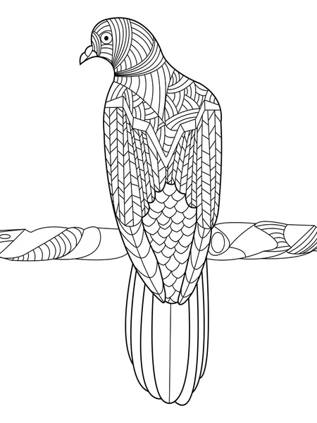 Вектор раскраски голубей для взрослых — стоковый вектор
